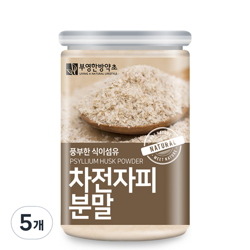 부영한방약초 차전자피 분말 가루, 300g, 5개