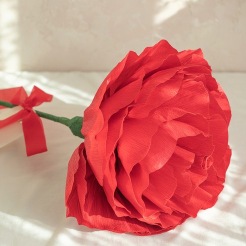 생생한 자이언트 리본장식 카네이션으로 우아함과 아름다움을 선사하세요.