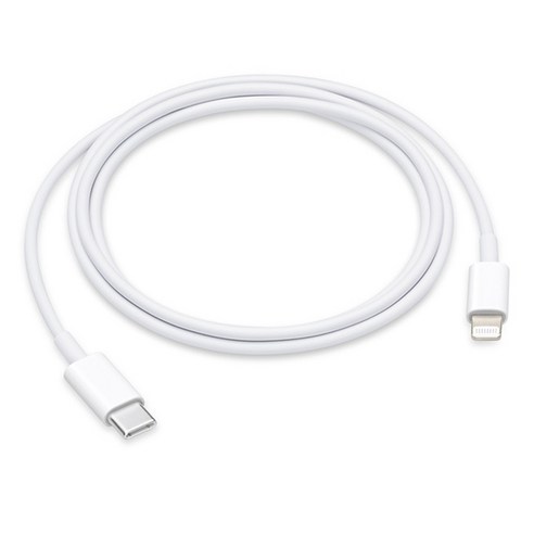 Apple 정품 Lightning-C타입 충전 케이블, 1m, 1개