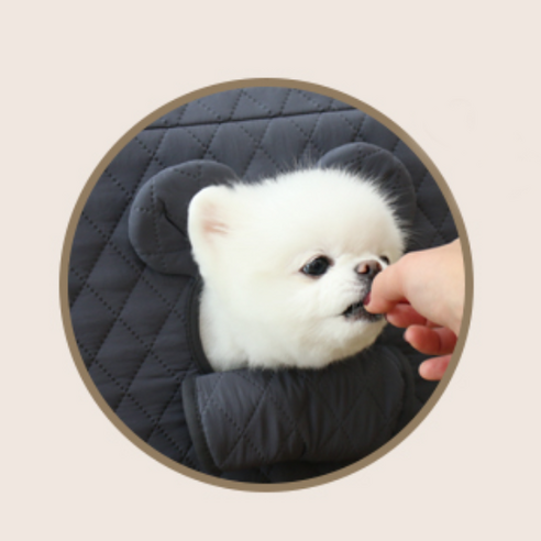 초코펫하우스 에브리데이 하우스 3.0, 당신의 반려동물에게 최고의 안락함을 선물하세요!