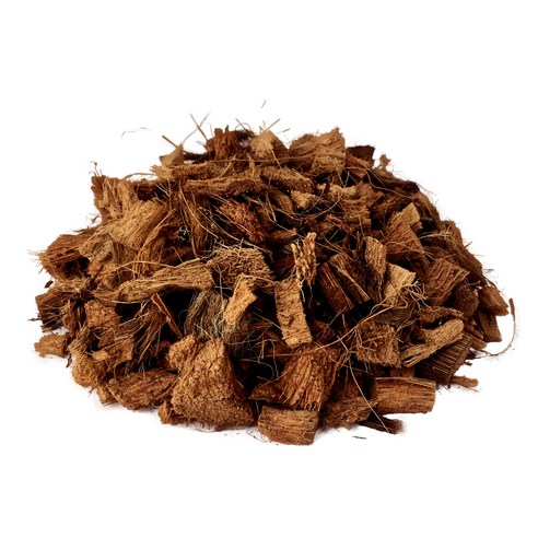 Fin 코코칩으로 소라게와 육지거북이에게 쾌적하고 건강한 보금자리를 선물하세요!