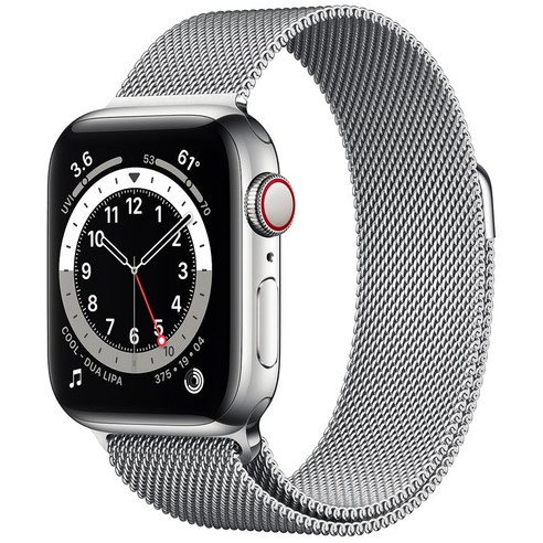 Apple 애플워치 6, 실버 스테인리스 스틸 케이스, 실버 밀레니즈 루프, 40mm, GPS+Cellular