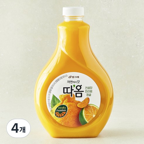 따옴 천혜향 한라봉 청귤, 1.6L, 4개
