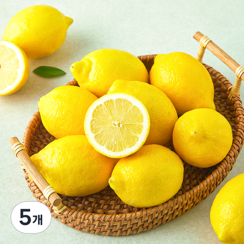 더네이처 칠레산 레몬, 5개, 1kg