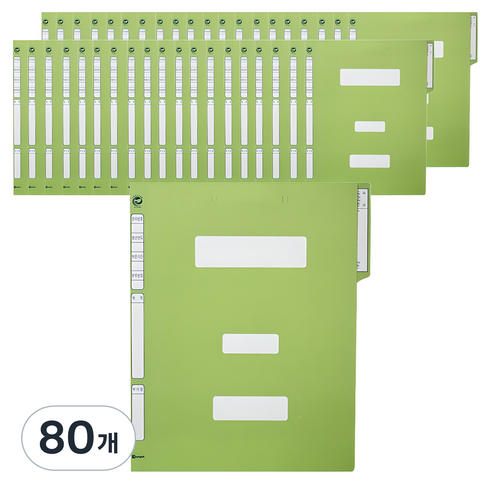 빅드림 정부화일 A4, 연두, 80개