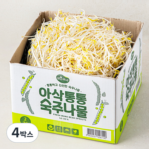 맑은물에 아삭통통 숙주나물, 4박스, 2kg