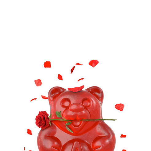 알록달록한 행복, 알바니즈 구미베어와 함께하는 달콤한 순간