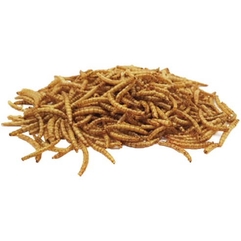 구딘 펫츠핸들러 건조밀웜 고슴도치사료 리필, 150g, 1개