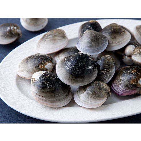 싱싱한 국산 모시조개로 끓이는 마법 같은 시원함!