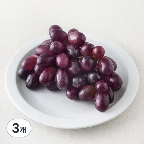 칠레 적포도, 3개, 450g