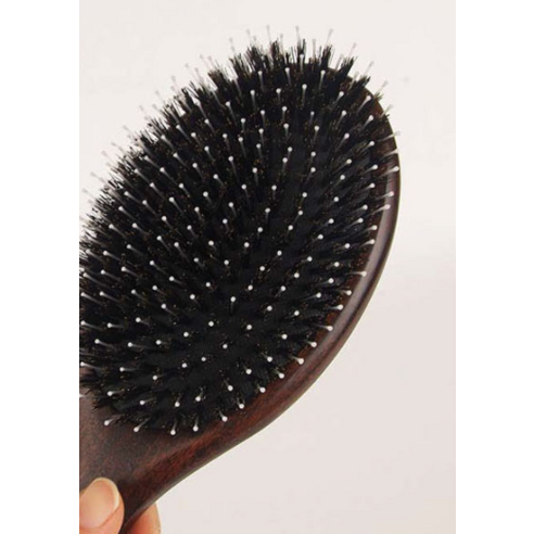 일상에 스며드는 특별한 아름다움, 헤스티아 우드 돈모브러쉬 L