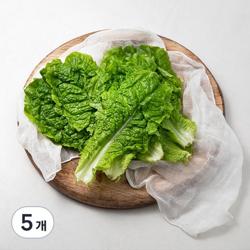 곰곰 국내산 GAP 청상추, 150g, 5개