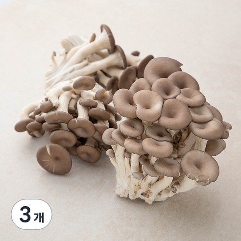 국내산 GAP 맛타리버섯, 300g, 3개, 300g × 3개이라는 상품의 현재 가격은 4,300입니다.