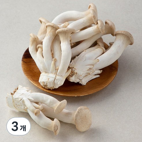 국내산 친환경 머쉬마루버섯, 600g, 3개