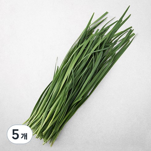 국내산 유기농 부추, 200g, 5개