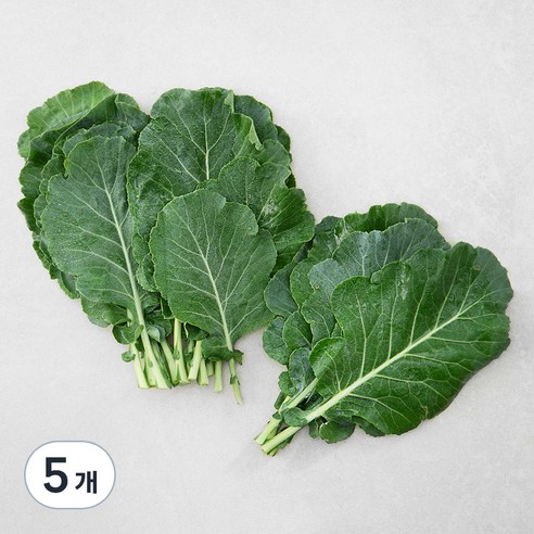 국내산 친환경 케일, 200g, 5개