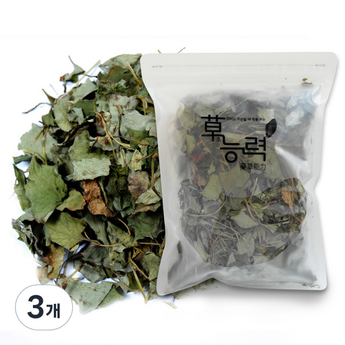 초능력 어성초 한약재료, 100g, 3개