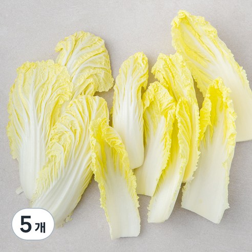 국내산 손질 쌈배추, 200g, 5개, 200g