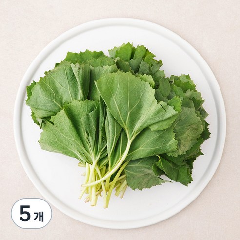 곰곰 국내산 머위잎, 250g, 5개