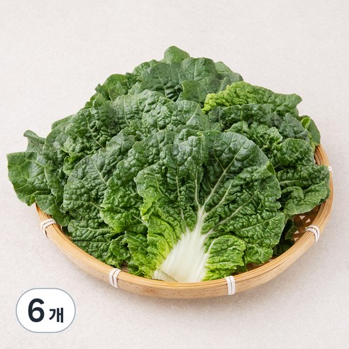 국내산 쌈추, 200g, 6개