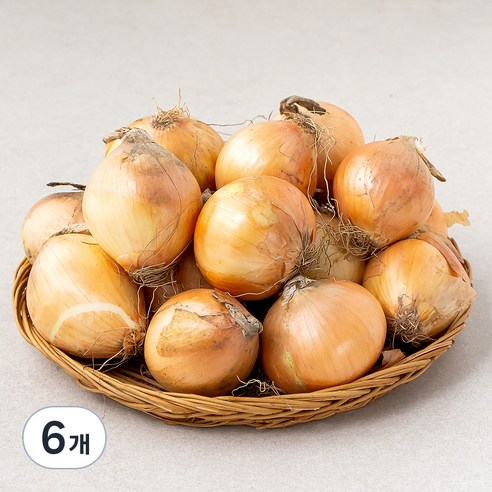 국내산 양파(짱아찌용) (햇), 3kg, 6개