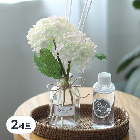 벚꽃수국 플라워 디퓨저 병 + 용액 100ml + 화이트수국 + 스틱 4p + 선물박스 세트, 10. 아쿠아시트러스, 2세트