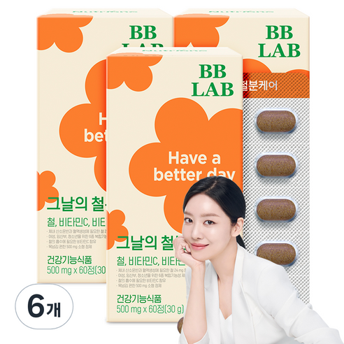 비비랩 그날의 철분 케어, 60정, 6개