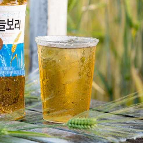 갈증 해소와 건강을 책임지는 국민 음료, 하늘보리