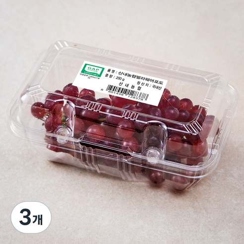 산내농협 GAP 델라웨어 포도, 200g, 3개