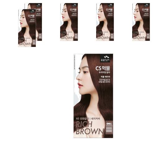 꽃을든남자 CS먹물 프리미엄 헤어 칼라크림 염모제, N5진한갈색, 6개