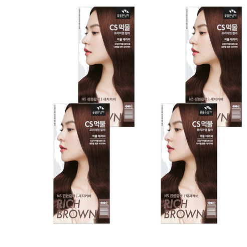 꽃을든남자 CS먹물 프리미엄 헤어 칼라크림 염모제, N5 진한갈색, 4개