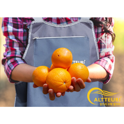 얼룩 걱정 없이 요리가 즐거워지는, 알뜨리 다담아 앞치마!