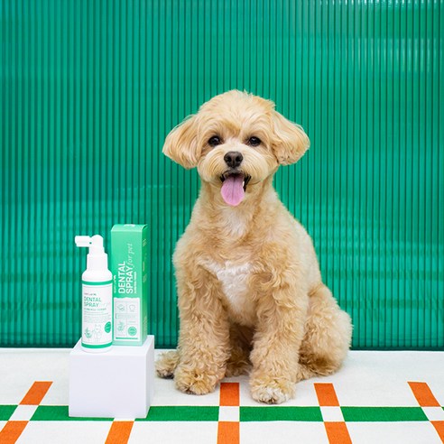 간편하게 칙칙! 리스펫랩 뿌리는 치약으로 댕냥이 구강 건강 지키세요!