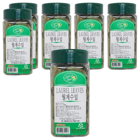 내츄럴스파이스 라우엘 리브즈 월계수잎, 25g, 6개