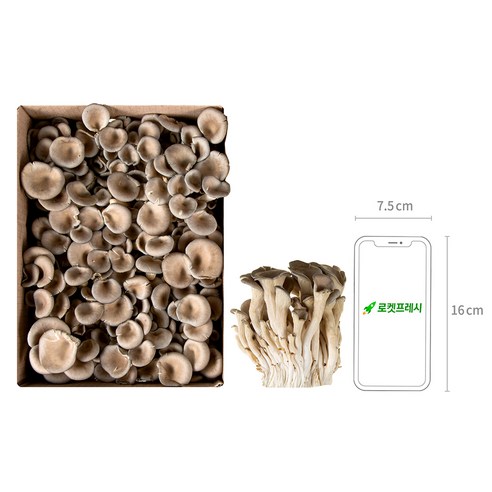 국내산 무농약 느타리버섯, 1kg, 1개