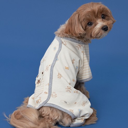 반려견을 위한 최적의 선택