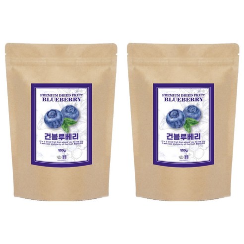 견과공장 건블루베리, 500g, 2개
