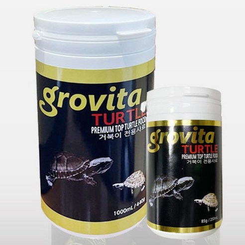 우리집 거북이, 소화 걱정 없이 건강하게 쑥쑥!