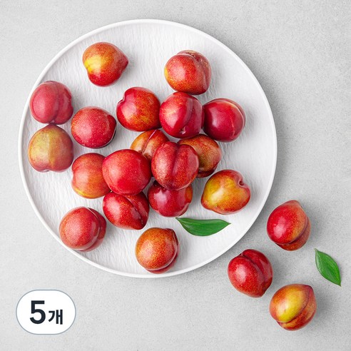 가족 의성 당도선별 대석자두, 1.2kg (특대), 5개