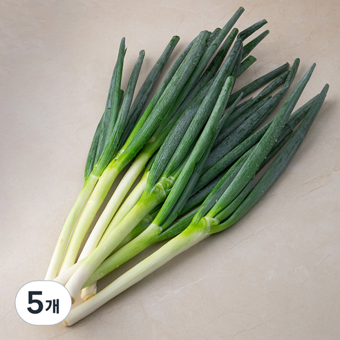 국내산 깐대파, 1kg, 5개