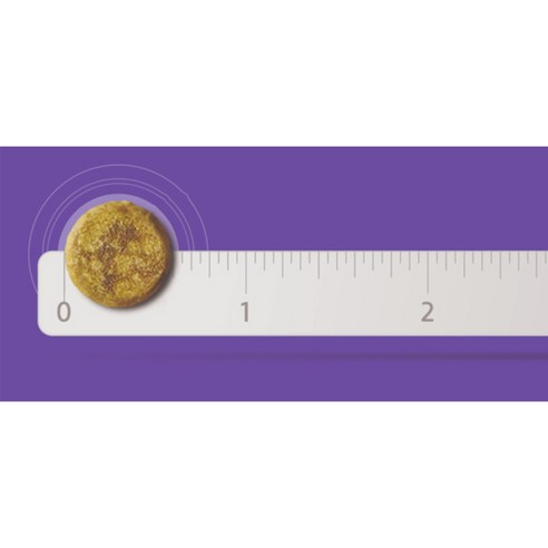 고양이 건강을 위한 최적의 선택