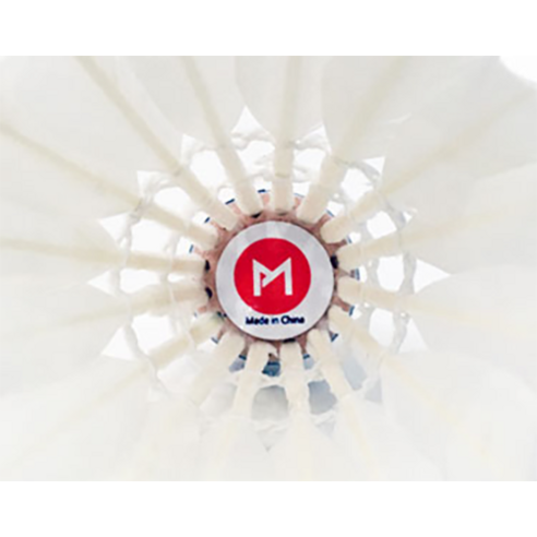 하늘을 가르는 깃털, 프로모릭스 203과 함께 당신의 플레이에 날개를 달아보세요.