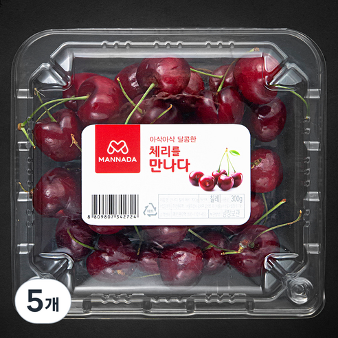 만나다 칠레 체리, 300g, 5개 항공직송체리