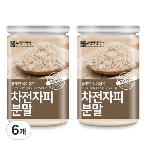 부영한방약초 차전자피 분말, 300g, 6개