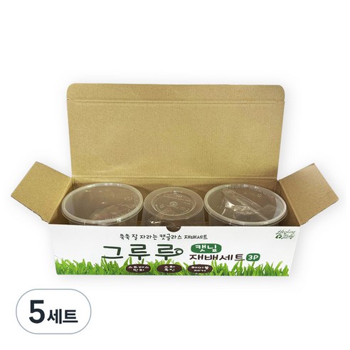 힐링타임 그루루 캣그라스 재배세트 3p, 캣닢, 5세트