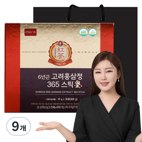 6년근 고려홍삼정 365 스틱 황, 300g, 9개