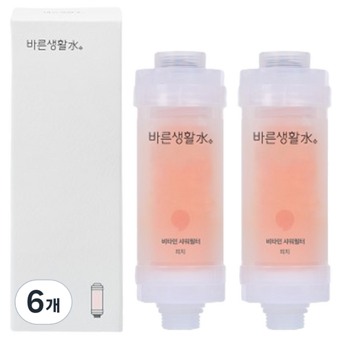 바른생활수 염소 제거 비타민 샤워필터, 6개, 피치