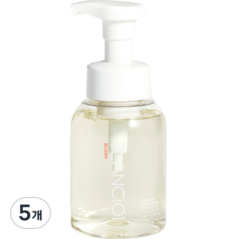 블랑101 핸드워시 블러쉬, 280ml, 5개