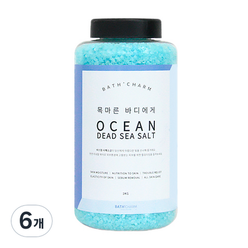 바스참 사해소금 오션 용기형, 1kg, 6개
