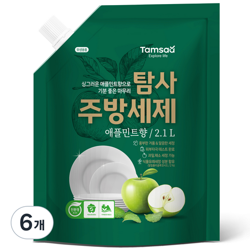 탐사 친환경 주방세제 애플민트향, 2.1L, 6개